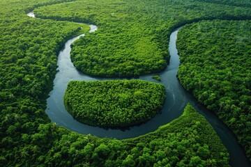 Aerial view of the river flowing through the forest. Beautiful nature landscape