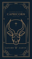 Fototapeta na wymiar Capricorn Signs Symbol Zodiac Illustration