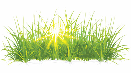 Green grass and sun rays Flat vector isolated on white
