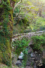 View of a traditional stone bridge at Agrafa mountains near the village of Chryso in central Greece - 774754131