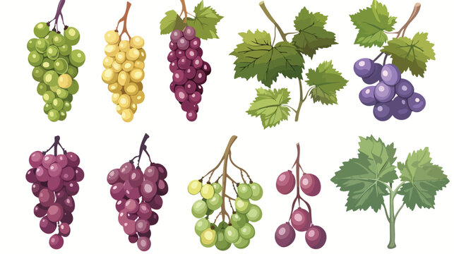 Isolated Delicious fresh grapes