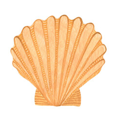 Seashell watercolor illustration isolated on white background.