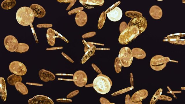 Rain of a bunch of golden bitcoin coins falling from above on a dark background in realistic slow motion 3D animation. Cryptocurrency, 2p2 exchange and blockchain concept