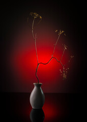 Modern still life with a dry branch in a vase on a bright background