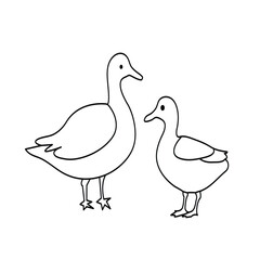 Duck single line art.One line duck icon vector background.