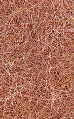 brown nature background of autumn fallen pine needles and leaves in a fall season forest. natural backdrop for concept and design