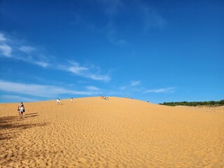 person walking on sand dune