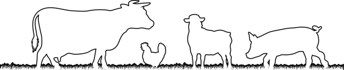 A farm animals scene with silhouettes of cows chicken, sheep and pig in a grass field scene landscape - obrazy, fototapety, plakaty