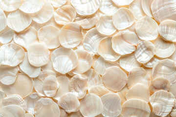 Beautiful texture from mother of pearl shell mosaic as background. - 774777514