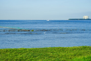晴れ渡った朝の干潟　ふなばし三番瀬海浜公園（千葉県船橋市）　