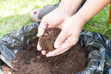 Hand holding peat moss organic matter improve soil for agriculture organic plant growing, ecology...