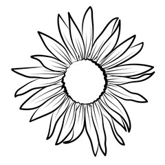 Fleur de Tournesol