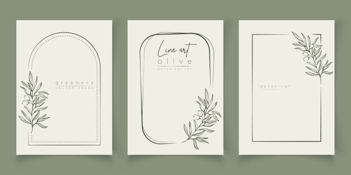 Botanical line art illustration set of olive leaves, branch frames for wedding invitation and cards, logo design, web, social media and posters template. Elegant minimal style floral vector isolated.	