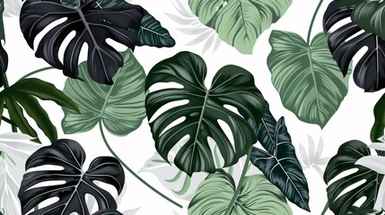 Delicate vintage pattern with green and black split-leaf Philodendron plant and vines on a white background.