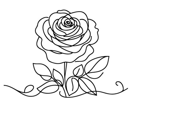 Continuous one black line art drawing beautiful rose outline doodle coloring vector illustration on white background
