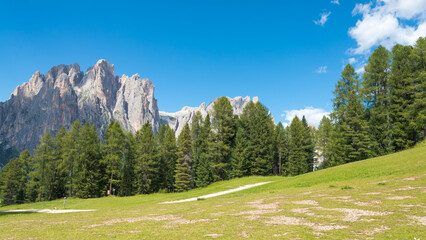 Idyllic scenary at the famous Dolomites mountain chain, Italy. Green meadow on the foreground, with green pines.  Mountain summit on the background with blue sky.