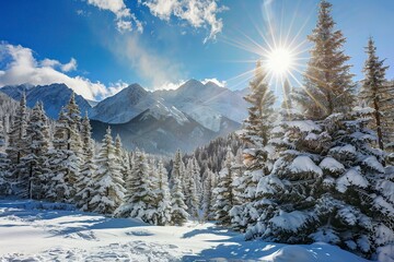 Fototapeta na wymiar Snowy Landscape With Trees and Mountains