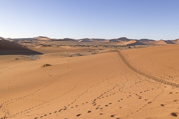 Fototapeta na wymiar Panoramic picture of the red dunes of the Namib Desert with footprints in the sand against blue sky