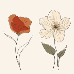 Red and white flowers, minimalist.
