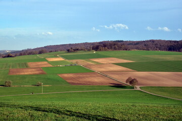 Felder und Wiesen in Steinheim am Albuch im Frühling