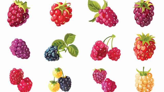 Colorful fruit. Raspberry icon. Vector illustration 