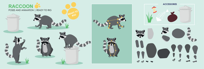 LC_Racoon_01