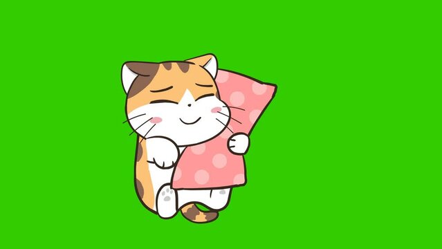 Cute cat animation on green screen