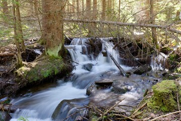 waterfall in the forest