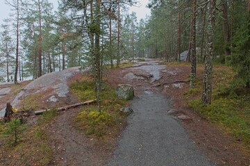 Fototapeta premium Autumn nature trail at Sarvikallio recreational area, Tuusula, Finland.