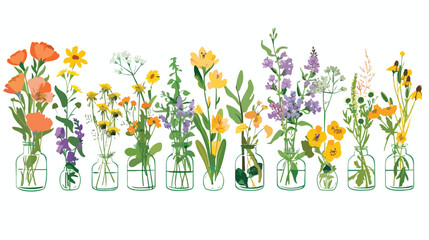 Medicinal flowers in jars in table flat vector isolated