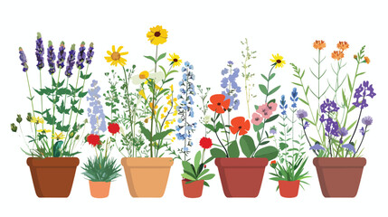 Medicinal flowers in the market flat vector isolated
