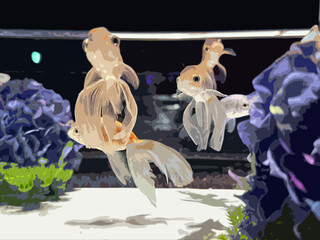 Realistic Illustration of Japanese Goldfish in a Fish Tank.
