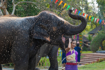 Songkran festival. Northern Thai people in Traditional clothes dressing splashing water together in Songkran day cultural festival with elephant.