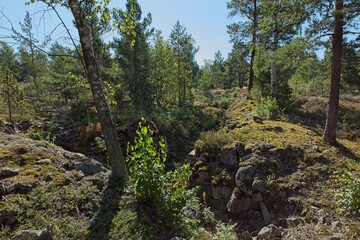 Old rocky battle trench from World War 1 at Kivikko fortress, Helsinki, Finland.