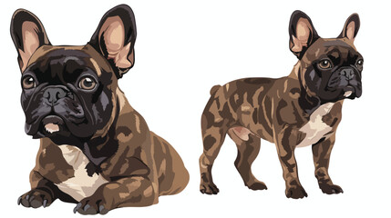 Portrait of cute brindle french bulldog flat vector 