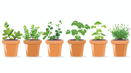 Pots with indoor plants succulent green herbs flat vector