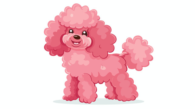 Pink poodle isolated on white background