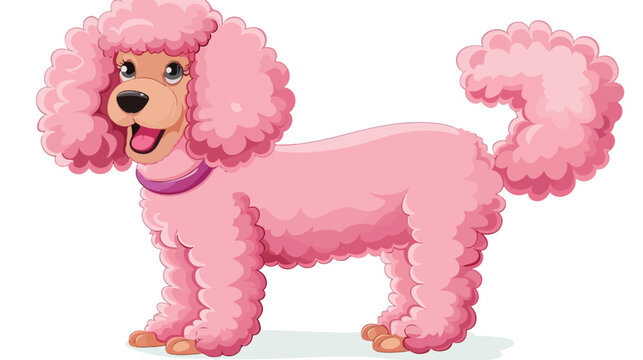 Pink poodle isolated on white background