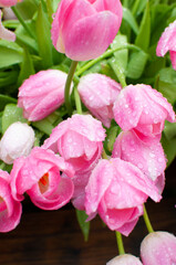 Obraz premium Bouquet of beautiful pink tulips with dew drops