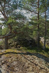 Landscape view of rocky forest on the island of Jussarö in summer, Raasepori, Finland.