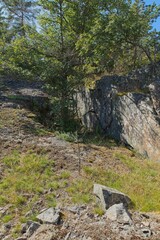 Landscape view of rocky forest on the island of Jussarö in summer, Raasepori, Finland.