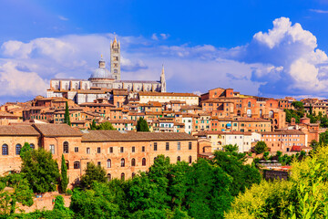 Siena, Italy.  View of the of Siena Cathedral (Duomo di Siena). - obrazy, fototapety, plakaty