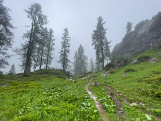 Hike with me through juicy green landscape with foggy and wet landscape at the background