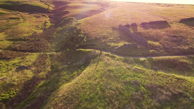 Idyllic Yorkshire scene with tree, and dry stone wall at summer, taken with drone. 