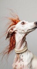 A white greyhound with red hair and wearing a pearl choker necklace, its hair blowing in the wind, a portrait photograph, on a white background, in the style of portrait photography