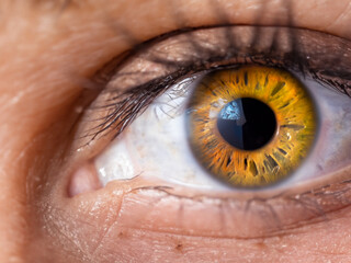vue d'un oeil en macro de couleur marron clair doré