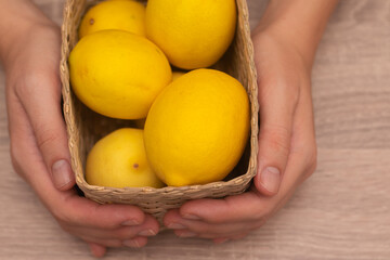 Fresh Lemons in Basket Held by Hands. Close-up of fresh yellow lemons in a woven basket held in hands.