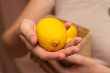 Fresh Lemons in female Hand. Close-up of fresh yellow lemons in a woman's hands.