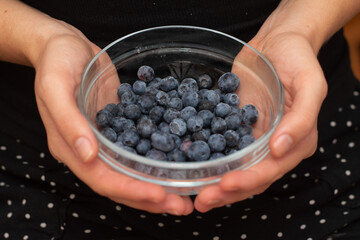 Fresh Blueberries in a Glass Bowl in Female Hands.
