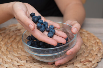 Fresh Blueberries in a Glass Bowl in Female Hands. Picking ripe blueberries from a glass bowl.
